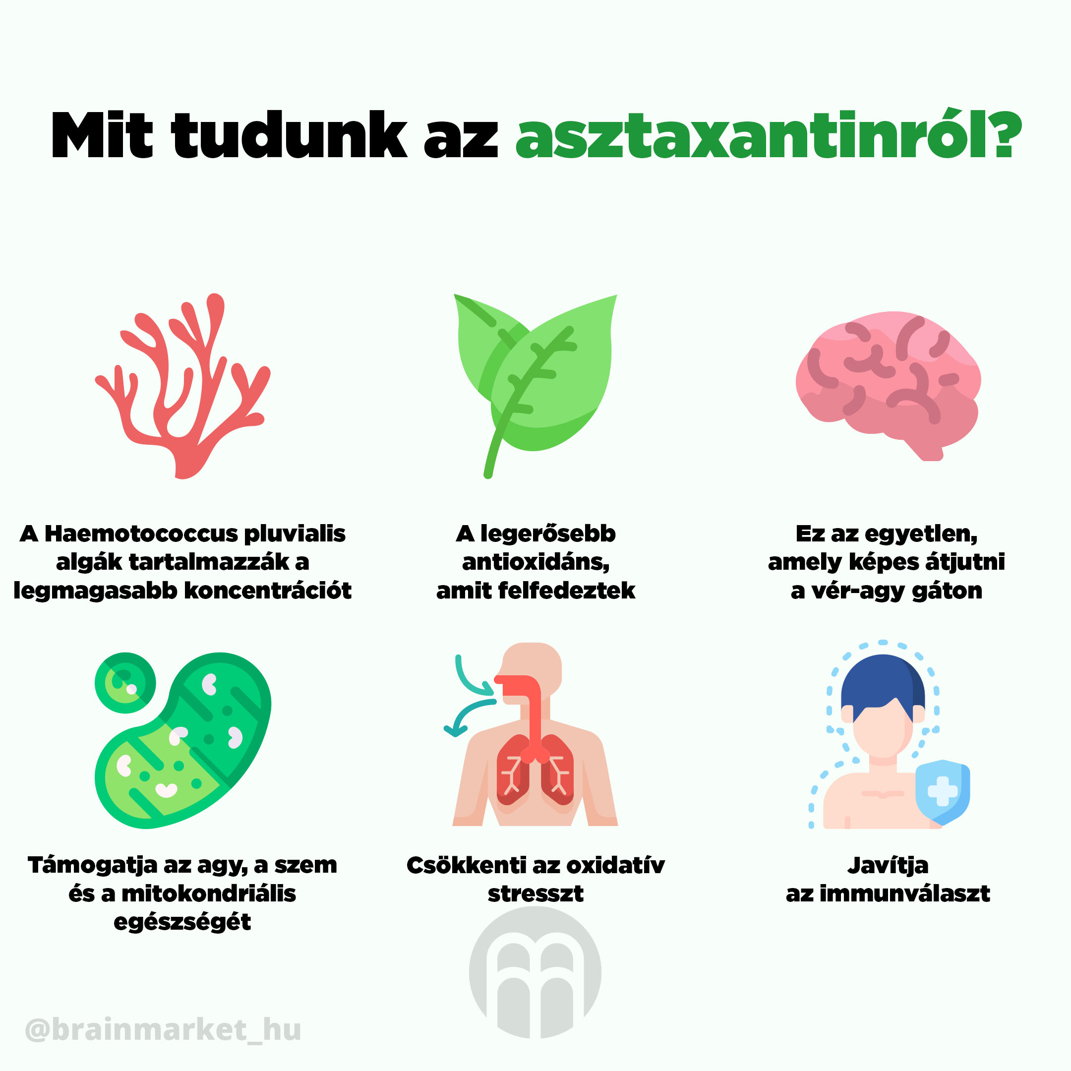 co o astaxanthinu vime infografika brainmarket hu